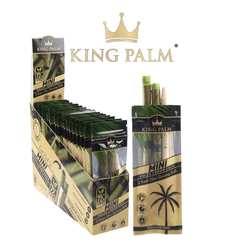 KING PALM CONES MINI 1G EACH 2PK BOX OF 20