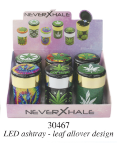 NEVER X HALE CAN BOX OF 6 GS30467