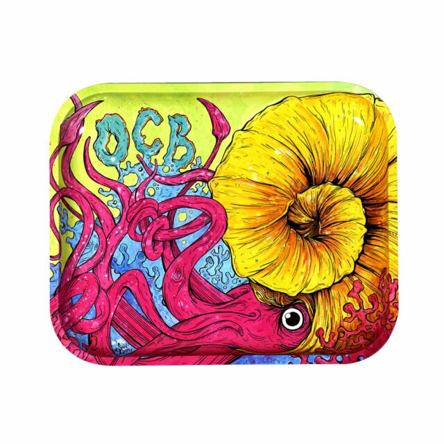 OCB LARGE CEPHALOPOD TRAY