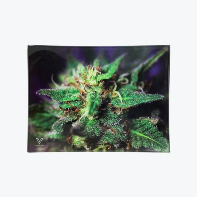 V SYNDICATE MEDIUM GLASS ROLLING TRAY BLUE DREAM