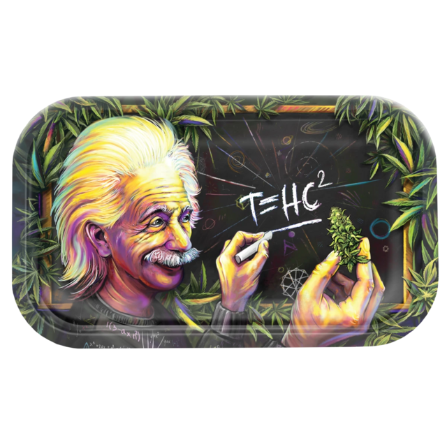 V SYNDICATE METAL ROLLING TRAY MEDIUM T=HC EINSTEIN HIGHER EDUCATION