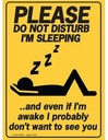 PLEASE DO NOT DISTURB TIN METAL POSTER 